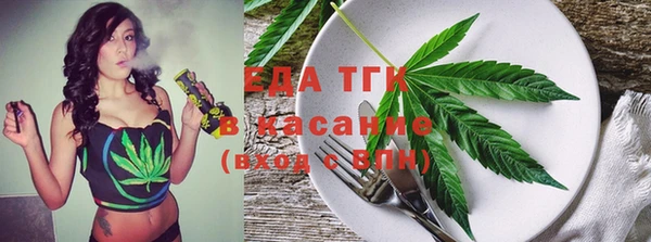 дживик Бородино