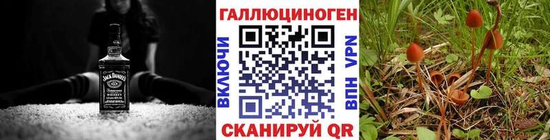 Псилоцибиновые грибы мицелий  сайты даркнета наркотические препараты  Заозёрск 